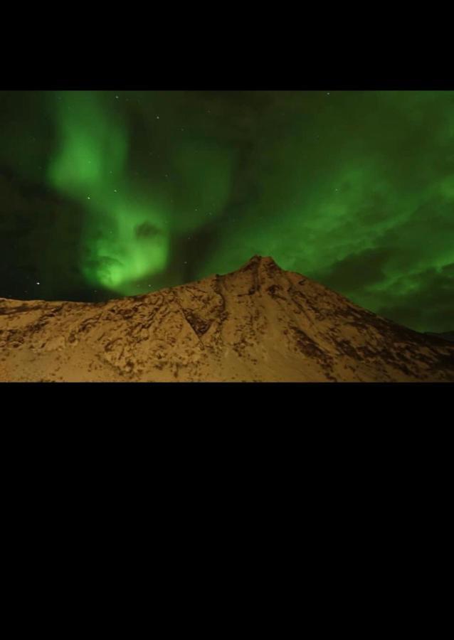 Senja Villa Gryllefjord ภายนอก รูปภาพ